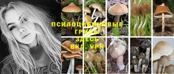 бошки Белоозёрский