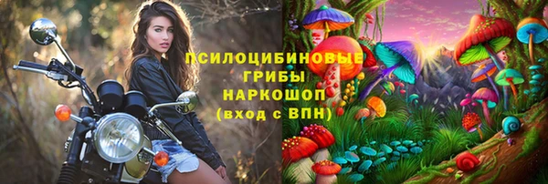 дурь Богородск