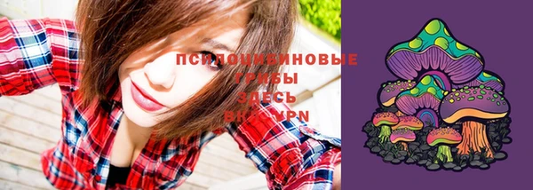 амф Богородицк