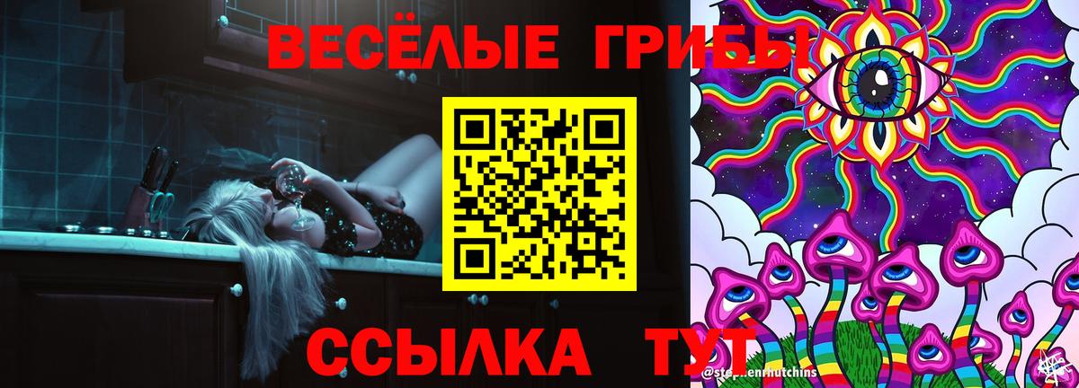 закладки  Вход с VPN  Горячий Ключ  Галлюциногенные грибы Psilocybe 