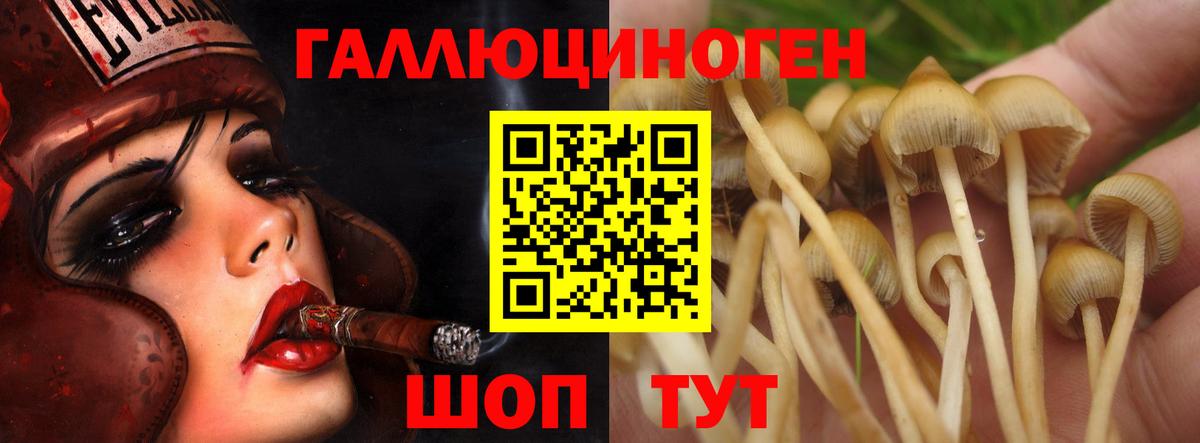 Галлюциногенные грибы мухоморы Горячий Ключ